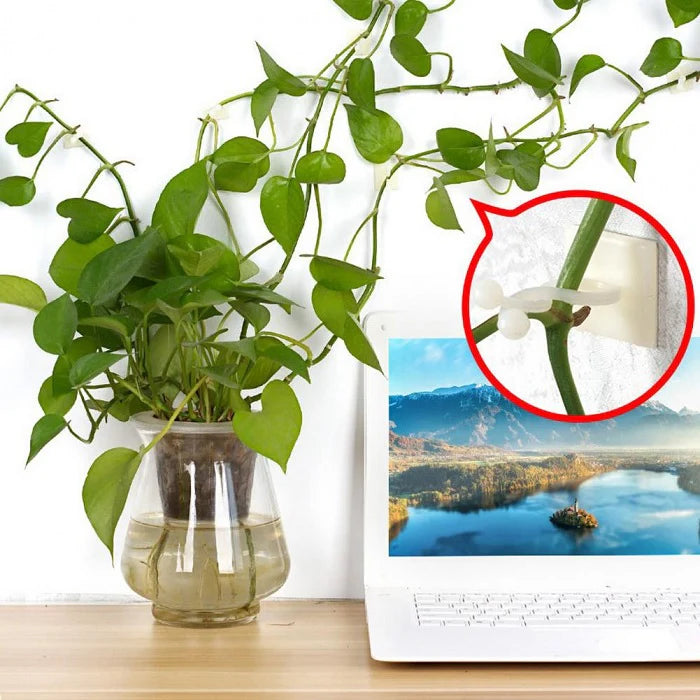 Wholesale Plastic Self-Adhesive Plant Support Plant Climbing Wall Plant Clip